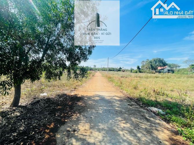 1sào3 Đất Xã Sơn Bình Gần Khu Dân Cư, Đường Ô Tô , Giá Chỉ 950triệu - 2