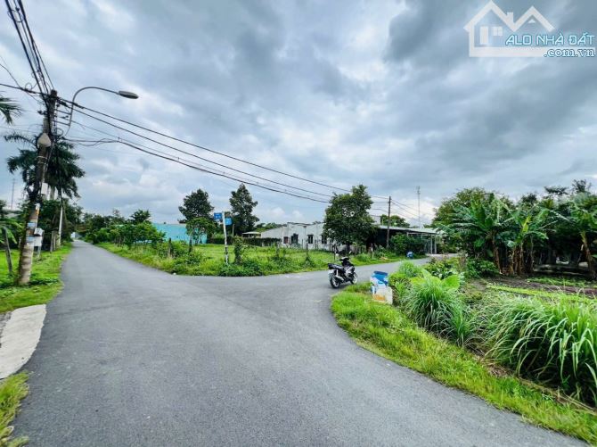 Bán đất góc 2 mặt tiền nhựa sát đường QL22 xã Tân Thông Hội Củ Chi TPHCM, DT: 12,5x24m. - 2