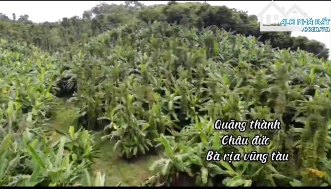 Cần bán 16000m2 có 300tc view hồ quãng thành châu đức brvt. - 2