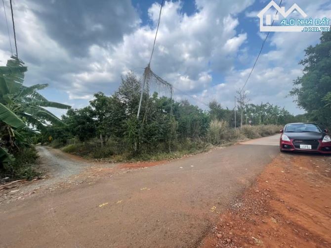 BÁN 3000M2 ĐẤT QUẢNG THÀNH CHÂU ĐỨC, BÀ RỊA VŨNG TÀU, GIÁ CHỈ 800TR/S ĐƯỜNG NHỰA THÔNG 6M - 2