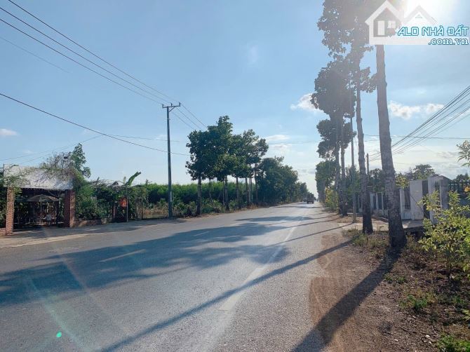Bán 10x51 có 80tc đất Láng Lớn, huyện Châu Đức, BRVT. - 2