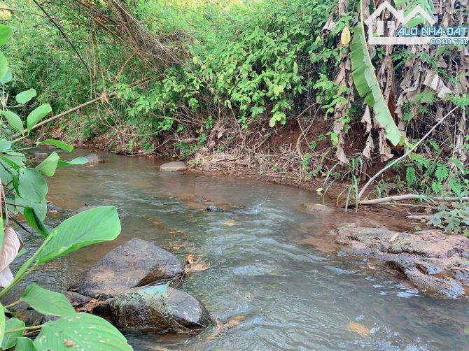 Bán khoảng 7 sào 5 VIEW SUỐI (7514m2) đất Láng Lớn, huyện Châu Đức, BRVT. - 2