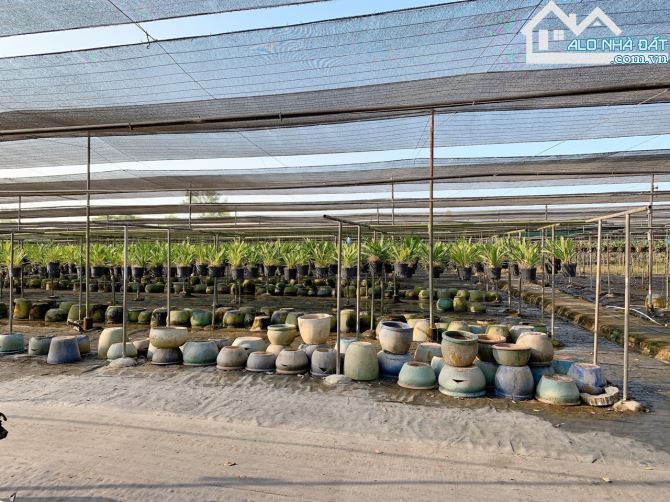 Bán khoảng 1 mẫu (10.213m2) đất Láng Lớn, huyện Châu Đức, BRVT. - 2