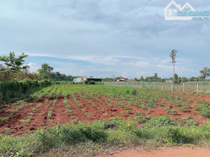 Bán khoảng 2 sào (2069m2) đất xã Láng Lớn, huyện Châu Đức, BRVT. - 2