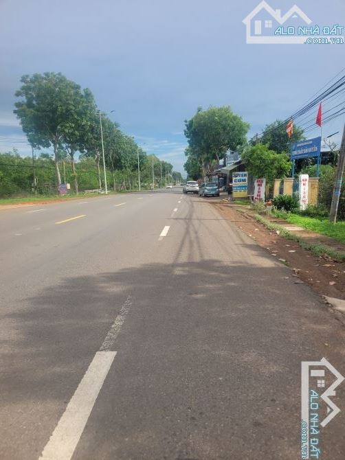 Bán đất mặt tiền quốc 56 1000m2 ngang 20 dài 48 góc 2mt đường nhựa giá 12ty900. - 2