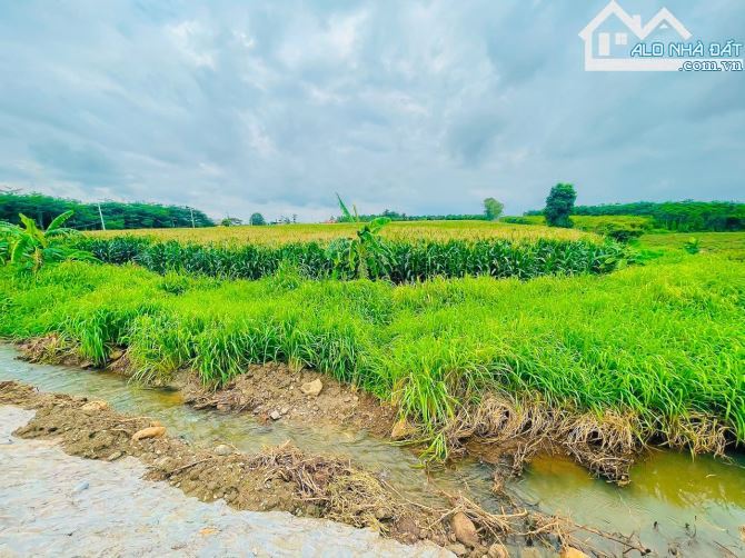 GIẢM MẠNH 50% BÁN 2 MẪU ĐẤT CÓ 2 MT ĐƯỜNG NHỰA, VIEW SUỐI, CÁCH VÒNG XOAY ĐÁ BẠC 800M - 2