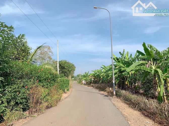 Bán khoảng 1 sào (1000m2) đất Bình Ba, huyện Châu Đức, BRVT. - 2