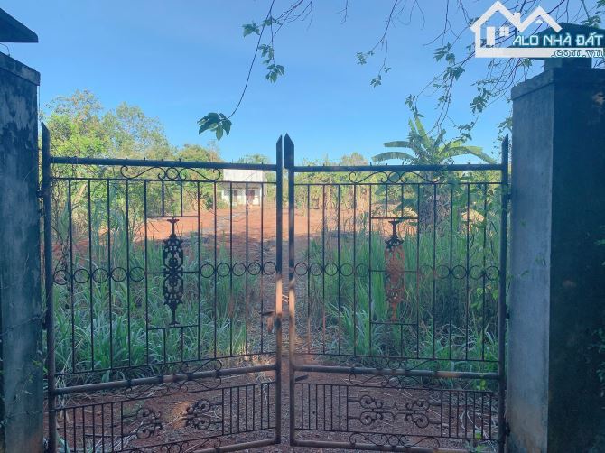 Bán khoảng 3 sào 4 (3482m2) đất Bình Ba, huyện Châu Đức, BRVT. - 2