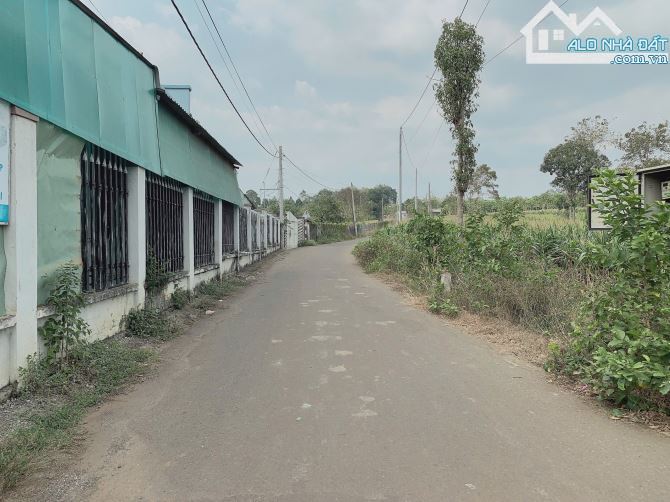 Bán khoảng gần 2 sào (1958m2) đất Bàu Chinh, huyện Châu Đức, BRVT. - 2