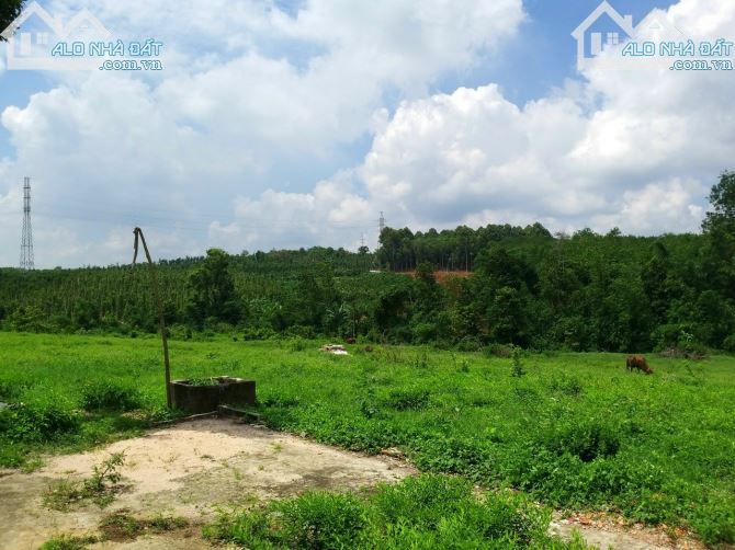 Bán khoảng 3 mẫu (30.193m2) đất Kim Long, huyện Châu Đức, BRVT. - 2
