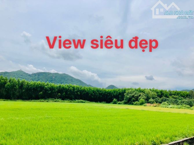 HƯỚNG ĐÔNG NAM-View lúa và núi yên bình-Dt:2000m2-có 28m mặt tiền-nở hậu 65m-200 thổ cư - 2