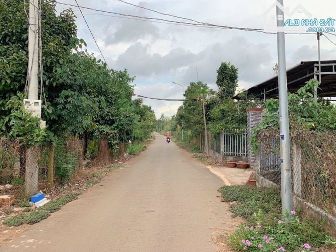 Bán khoảng 1 sào (1020m2) đất Kim Long, huyện Châu Đức, BRVT. - 2