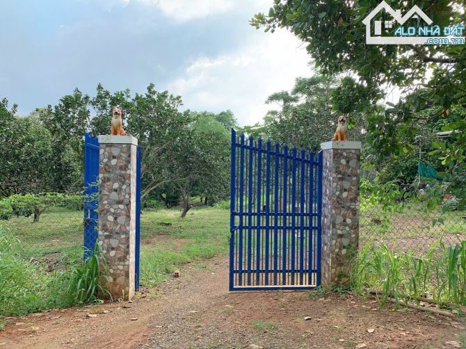 Bán khoảng 5 sào (4953m2) đất thị trấn Kim Long, huyện Châu Đức, BRVT. - 2