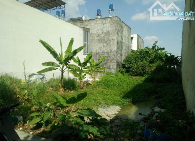 Bán đất mặt tiền đường Thạnh Xuân 31, Quận 12 dt 11,5x35m - 2
