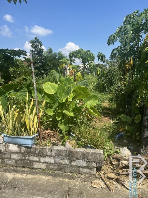 Hoa hậu đất tái định cư - Hoàng văn thụ - Xuân mai - Hà Nội * 120m2 * giá 2tỷ * đường ô tô - 2