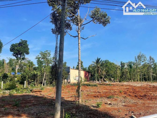 Rẻ nhất - 2 sào phủ Hồng - 1 Tỷ950 triệu  -Mặt tiền nhựa thuộc Bàu Chinh - - 2