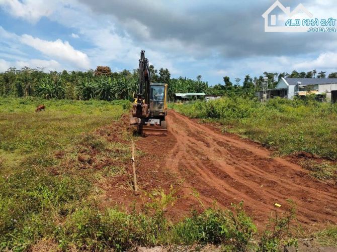SỈ 3 LÔ ĐẤT 1000M2_12002 ĐƯỜNG BÊ TÔNG 5M GIÁ 2,3 TỶ - 2
