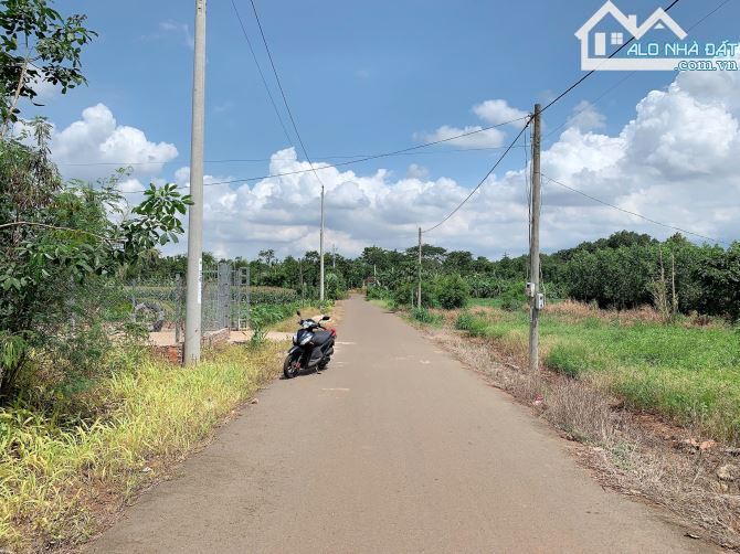 Bán khoảng 2 sào 2 (2200m2) đất xã Bình Ba, huyện Châu Đức, BRVT. - 2