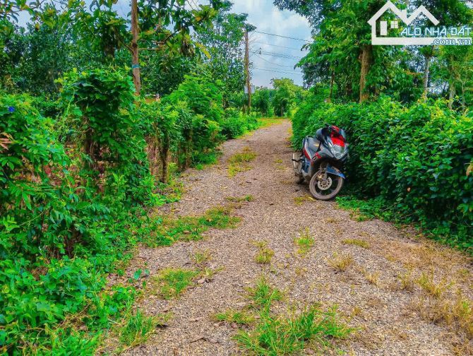 NHÀ VƯỜN CÂY ĂN TRÁI VIEW SUỐI, SẴN THỔ CƯ, KẾ BÊN CÁC KHU NGHỈ DƯỠNG, NHÀ VƯỜN ĐẸP - 2