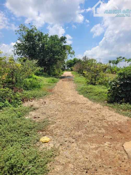 NHÀ VƯỜN + VƯỜN CÂY ĂN TRÁI 2 MẶT TIỀN VIEW SUỐI, SẴN THỔ CƯ, LIỀN KỀ CAO TỐC, GIÁ SIÊU RẺ - 2