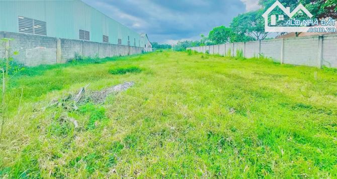 LÔ ĐẤT CỰC PHẨM 2 MẶT TIỀN SÁT BÊN THỊ TRẤN NGÃI GIAO, SẴN THỔ CƯ, GIÁ BÁN NHANH SIÊU RẺ - 2
