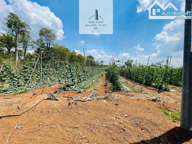 Đất xã Bình Trung mặt tiền đường chính rộng 10m - có 200m thổ cư - 2