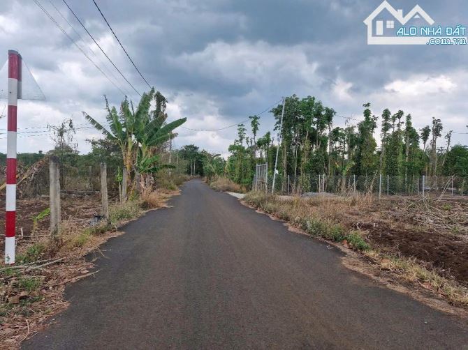 Bán khoảng 4 sào 7 (4717m2) đất Đá Bạc, huyện Châu Đức, BRVT. - 2