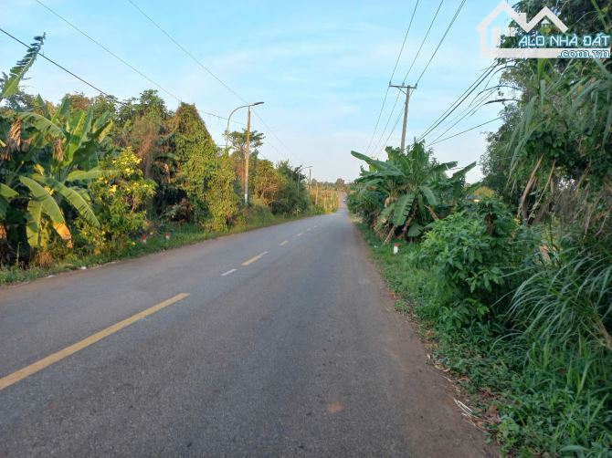 Bán đất mặt tiền đường nhánh ql 56 sát cao tốc Biên Hòa Vung Tàu - 2