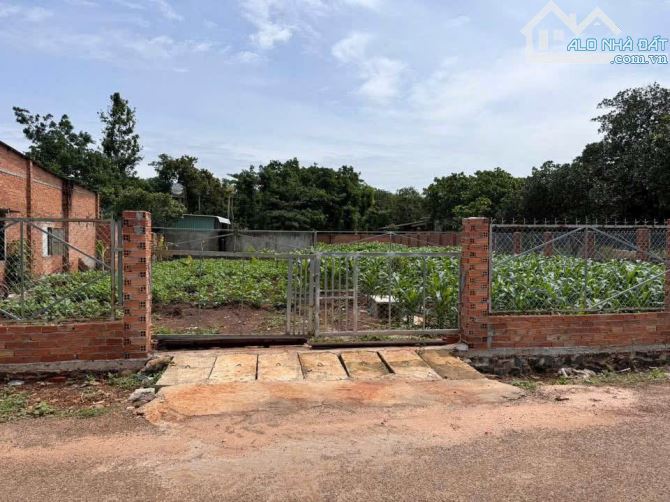 LÔ ĐẤT ĐẸP TRUNG TÂM BÀU LÂM-TPHCM, DÂN CƯ ĐÔNG, BÁN KÍNH 500M TIẾP CẬN MỌI TIỆN ÍCH - 2