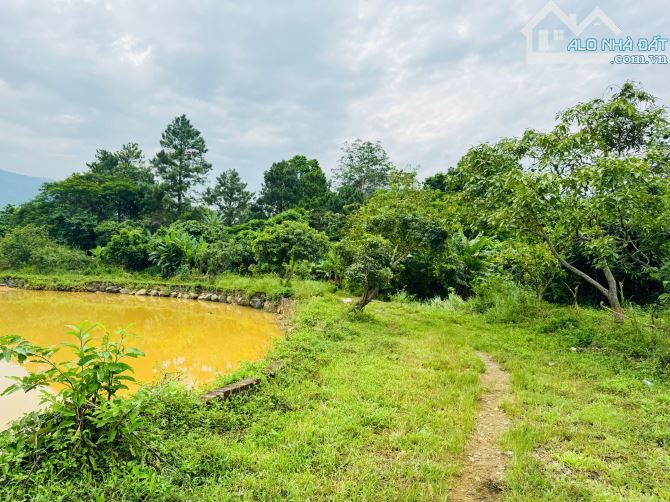 2,8HA ( 2000M2 ĐẤT Ở ) TRONG ĐẤT CÓ HỒ CÓ SUỐI THẾ ĐẤT CỰC ĐẸP - 2