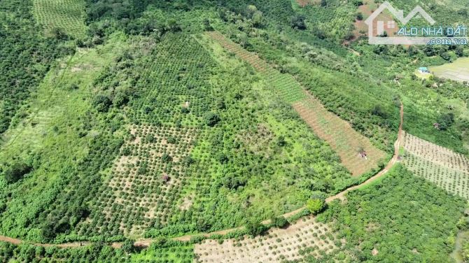 Bán 2.6 sào đất view hồ Kala, Di Linh, Lâm Đồng, sổ mới, view tuyệt đẹp toàn cảnh hồ. - 2