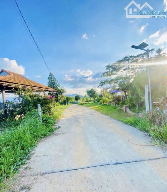 👍View này làm nhà đỉnh của đỉnh. Bán đất Ngay Lê Thị Riêng, Lộc Châu Phường 3 Bảo Lộc - 2