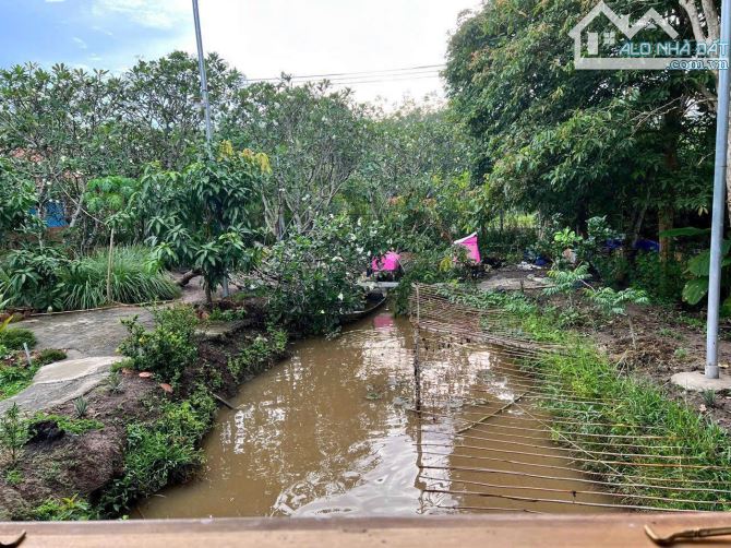Cần bán đất + nhà vườn view kênh sông sài gòn đường Cây Gõ Xã An Nhơn Tây 4200m2 2000m thổ - 3