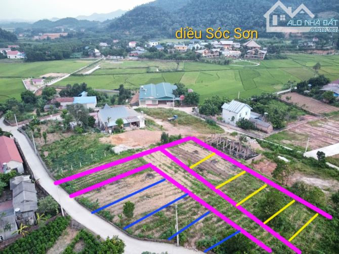 View trọn Hồ Cầu Bãi và Diều Sóc Sơn. Tại Phúc Xuân- Bắc Sơn- Sóc Sơn- Hà Nội - 3