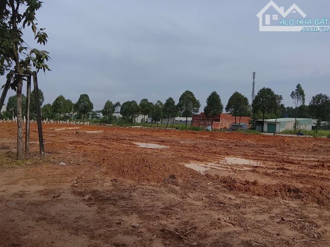 🔥 ĐẤT NỀN MỸ PHƯỚC 3 – MẶT TIỀN VÀNH ĐAI 4 – GIÁ CHỈ TỪ 690 TRIỆU SỞ HỮU NGAY 🔥 - 3