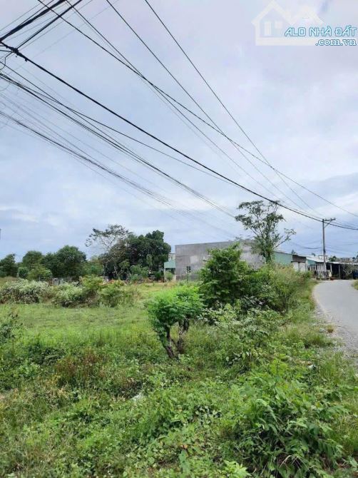 BÁN GẤP 1.949M², NỞ HẬU ĐẸP - ĐẤT MẶT TIỀN SÔNG LU – CỦ CHI - 3