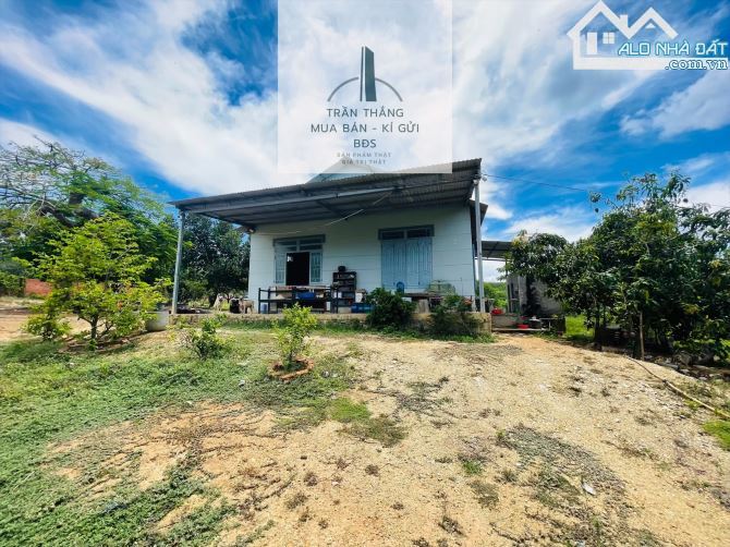 10 Mẫu Đất View Hồ - Có 300m Thổ Cư - Giáp Nước - 1.000m Mặt Tiền Đường Nhựa - 3