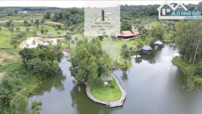Đất view Hồ Xã Suối Rao - Đã Xâu Dựng hoàn chỉnh - đầy đủ tiệm ích - 3