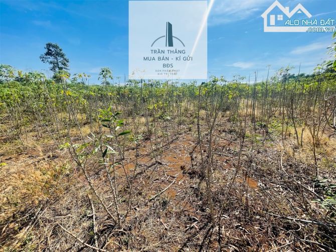 1sào3 Đất Xã Sơn Bình Gần Khu Dân Cư, Đường Ô Tô , Giá Chỉ 950triệu - 3