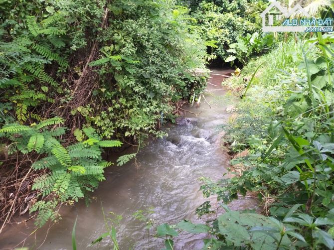Bán khoảng 4 sào 3 (4280m2) đất Láng Lớn, huyện Châu Đức, BRVT. - 3
