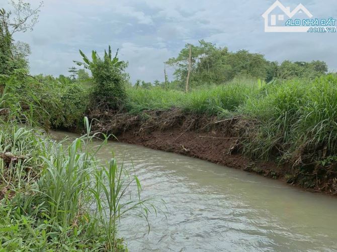 Bán khoảng 4 sào 5 (4548m2) đất Láng Lớn, huyện Châu Đức, BRVT. - 3