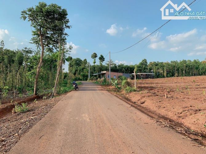 Bán khoảng 7 sào 5 VIEW SUỐI (7514m2) đất Láng Lớn, huyện Châu Đức, BRVT. - 3