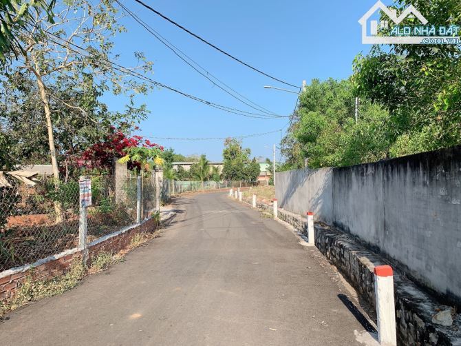 Bán khoảng 1 mẫu (10.213m2) đất Láng Lớn, huyện Châu Đức, BRVT. - 3