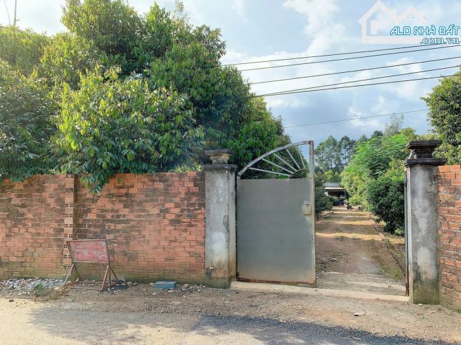 BÁN VƯỜN SẦU RIÊNG 1.2 MẪU MT ĐƯỜNG NHỰA, CÓ NHÀ, CÓ THỔ CƯ, VIEW SUỐI, GIÁ CỰC TỐT - 3