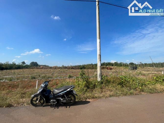 BÁN 2000M2 DÂT VƯỜN TẠI ĐÁ BẠC CHÂU ĐỨC, GIÁ 900TR/S ĐƯỜNG NHỰA KHU DÂN CƯ, AI MUA ĐAU TƯ - 3