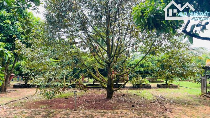 Bán nhà đất vườn trái cây 64x85m gần chợ long phước - 3