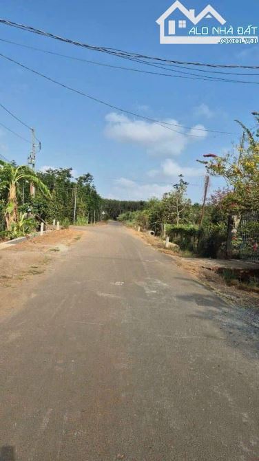 Cần bán trang trại vườn cây rộng 9.229m2 với 600m2 thổ cư, giá chưa qua đầu tư tại Đá Bạc - 3