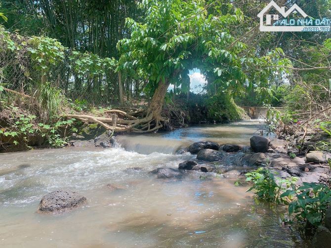 Bán khoảng 3 sào 3 (3308m2) đất xã Đá Bạc, huyện Châu Đức, BRVT. - 3