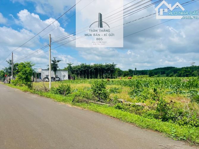 Đất Xã Bình Trung - Khu Dân Cư - Gần Uỷ Ban - Trường Học - Chợ - 3