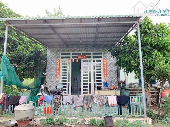 Bán khoảng 5 sào (4953m2) đất thị trấn Kim Long, huyện Châu Đức, BRVT. - 3